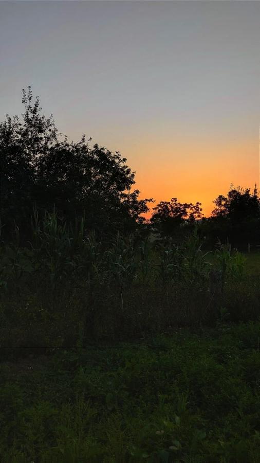 La Posada Del Canario Onís Esterno foto